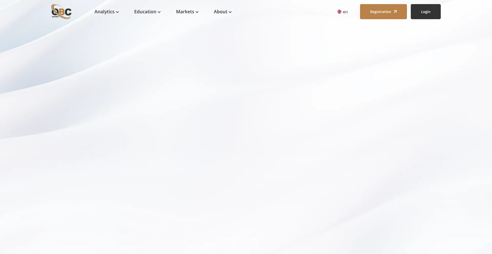 Website screenshot of Obcbasis.com