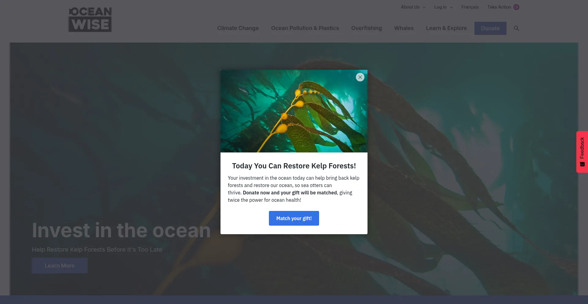 Ocean.org