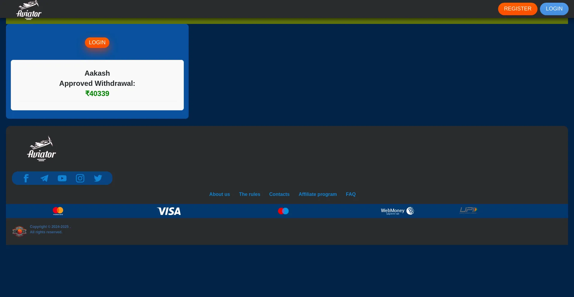 Website screenshot of Officialaviator.shop