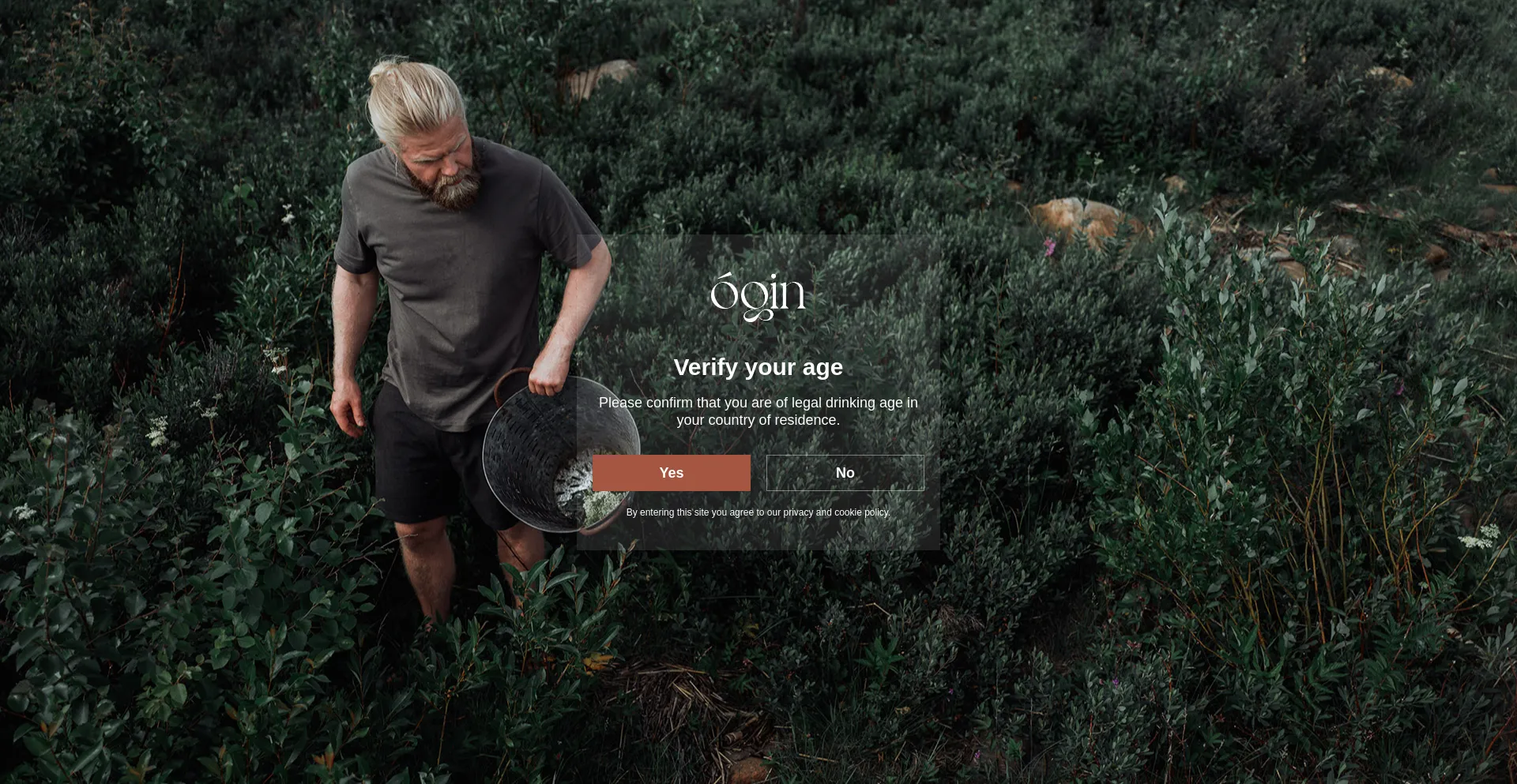 Website screenshot of Ogindistillery.com