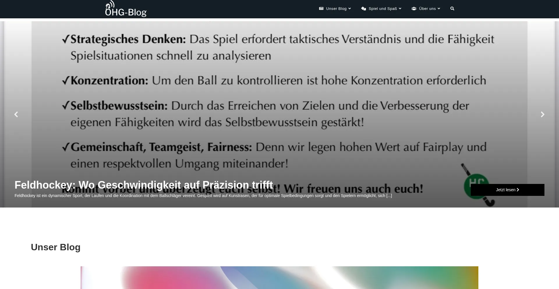 Website screenshot of Ohg-blog.de