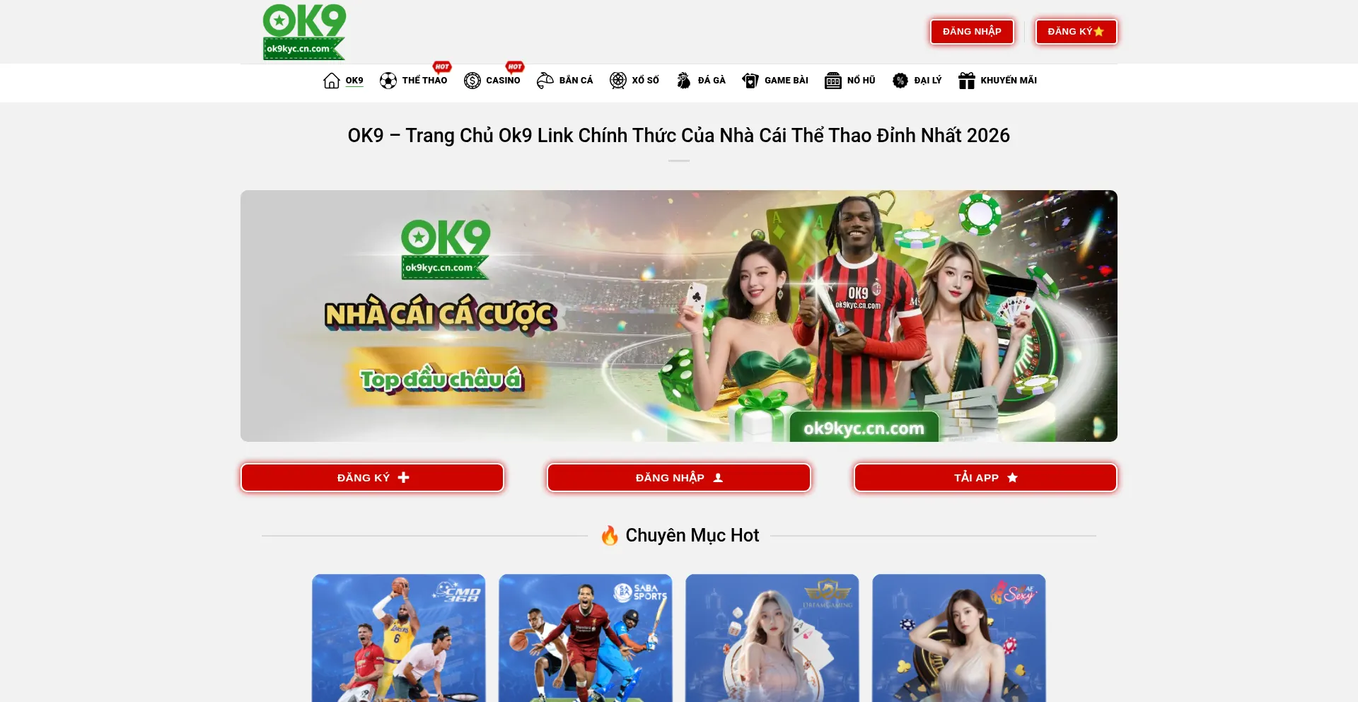 Ok9kyc.cn.com