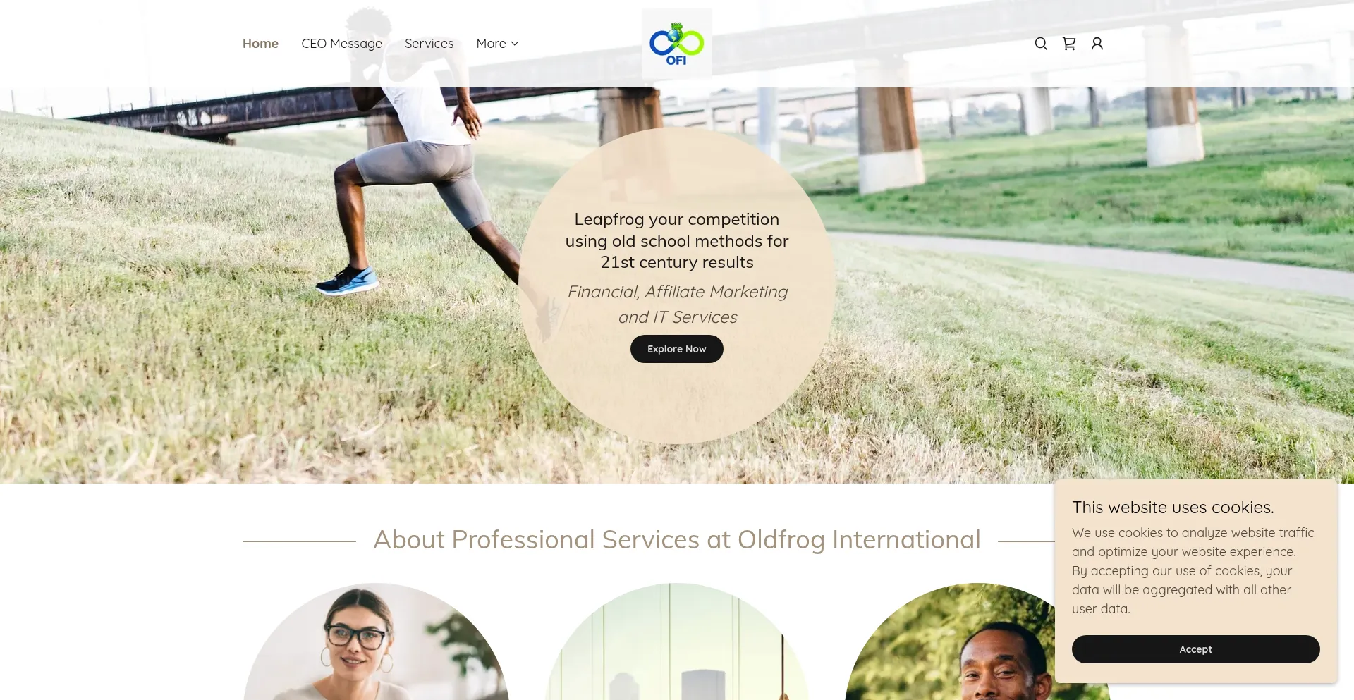 Oldfroginternational.com Screenshot