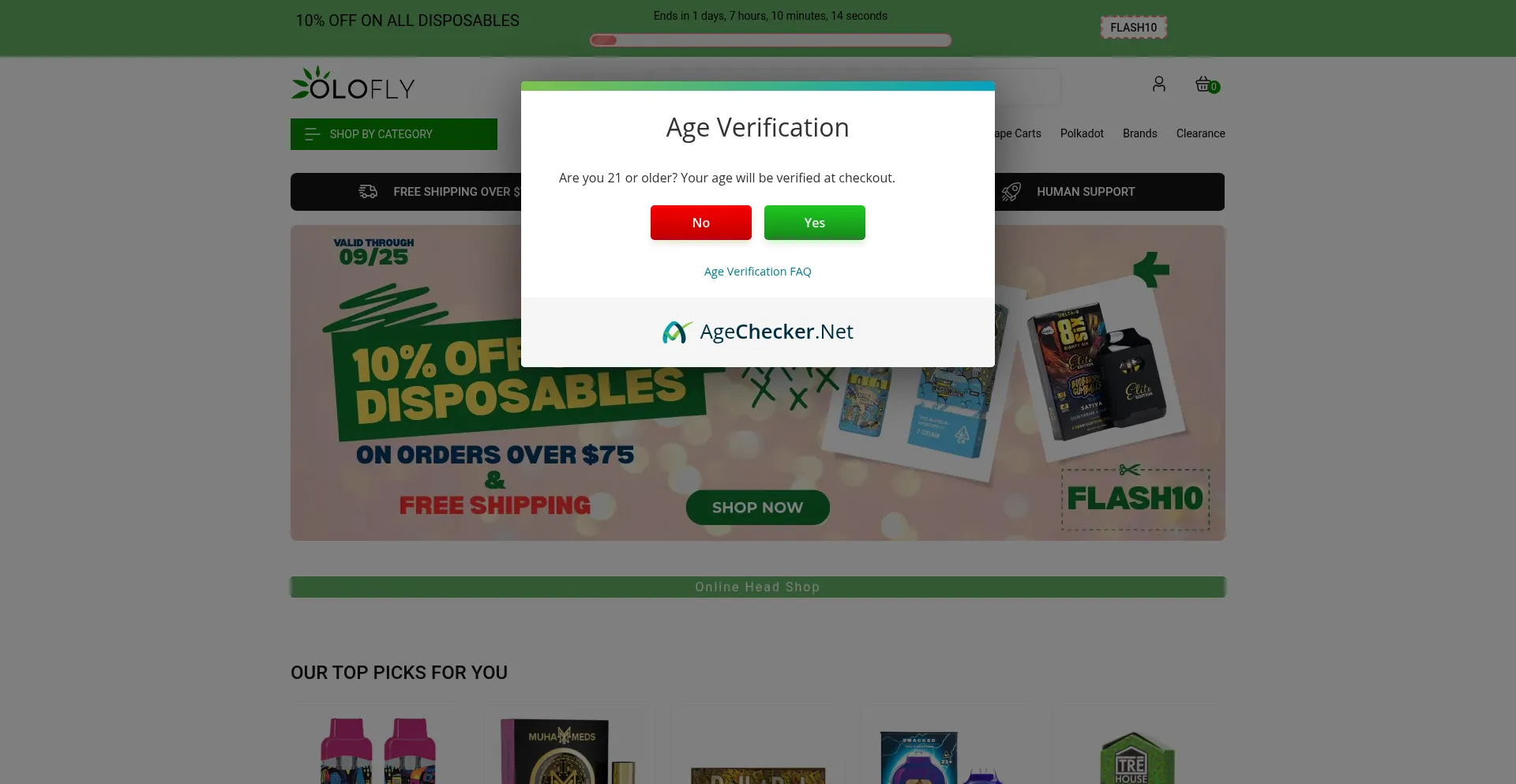 Olofly.com Screenshot