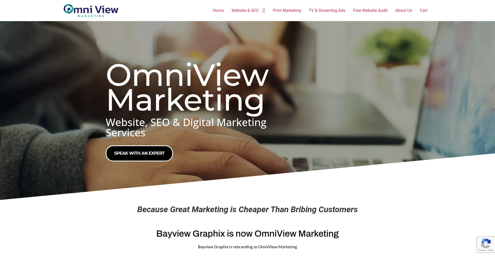 Website screenshot of Omniviewmarketing.com