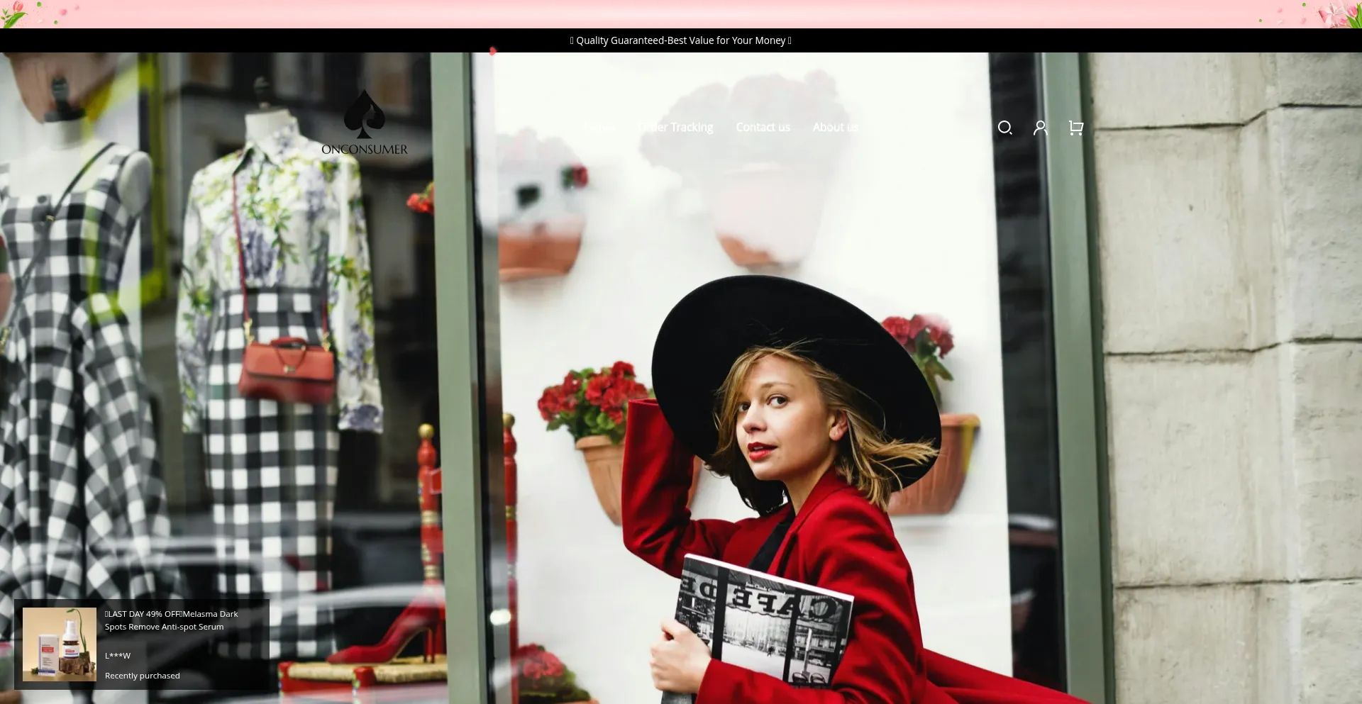Website screenshot of Onconsumer.com