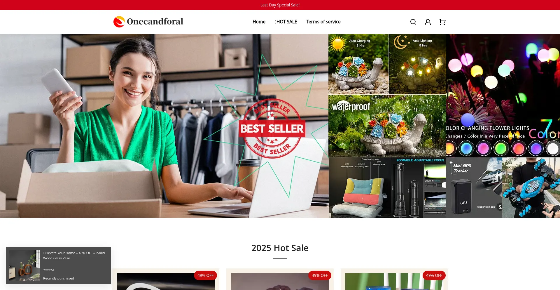 Website screenshot of Onecandforal.com
