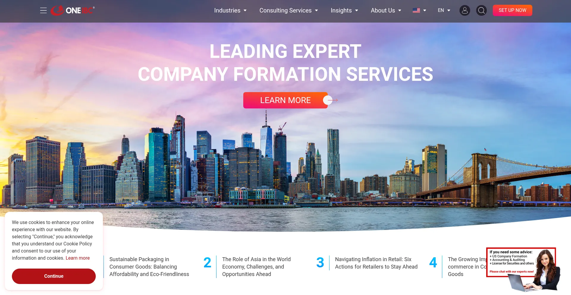 Website screenshot of Oneibc.com