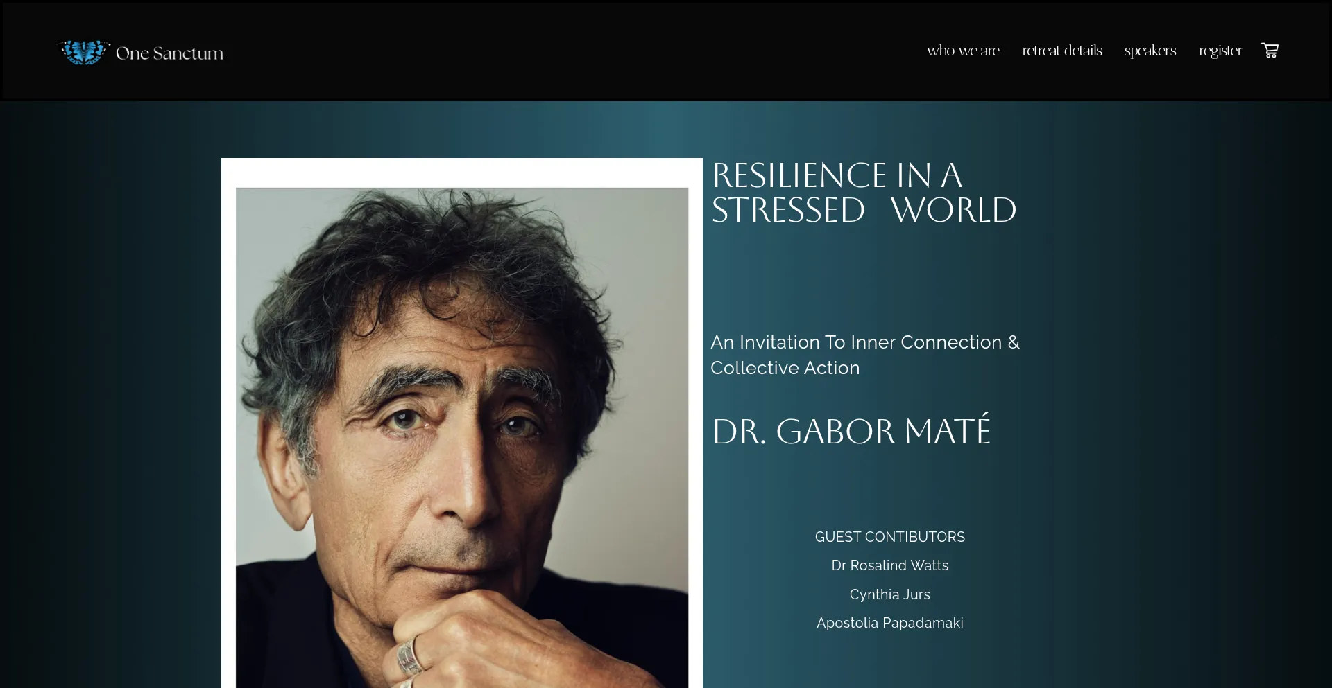 Website screenshot of Onesanctum.org