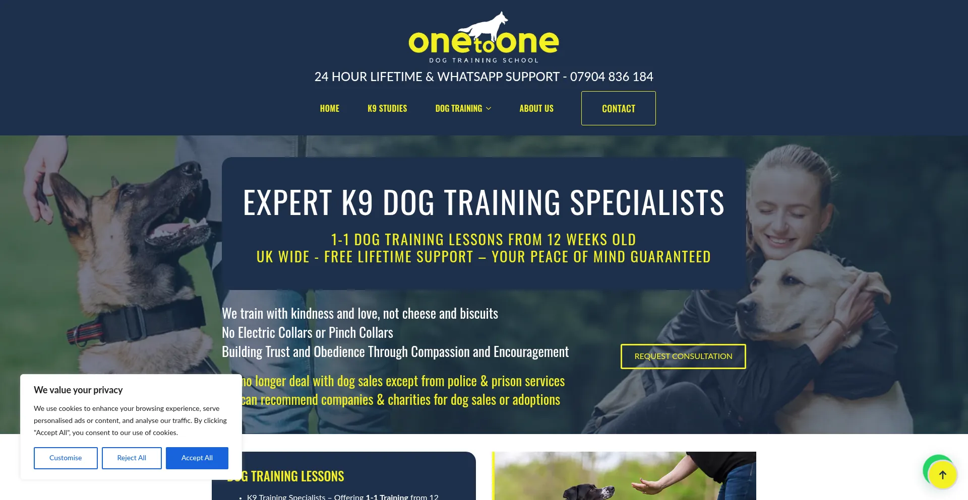 Onetoonedogtrainingschool.co.uk Screenshot