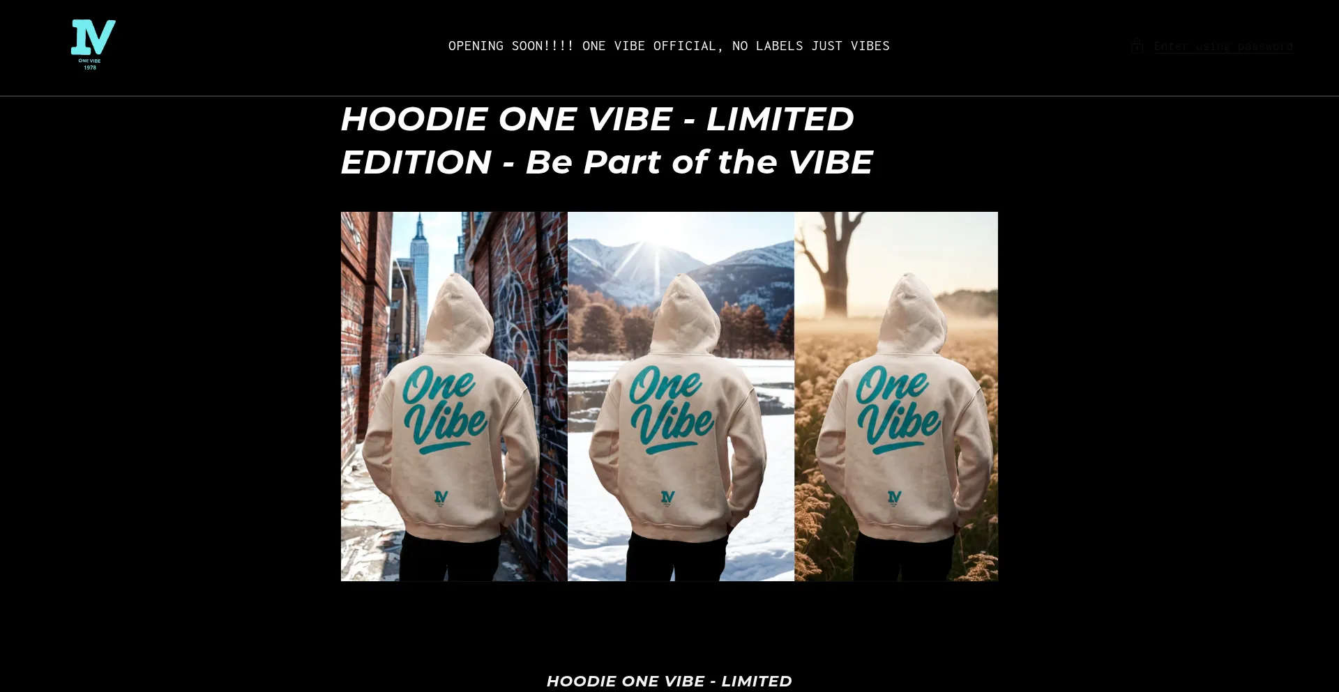 Website screenshot of Onevibeofficial.com