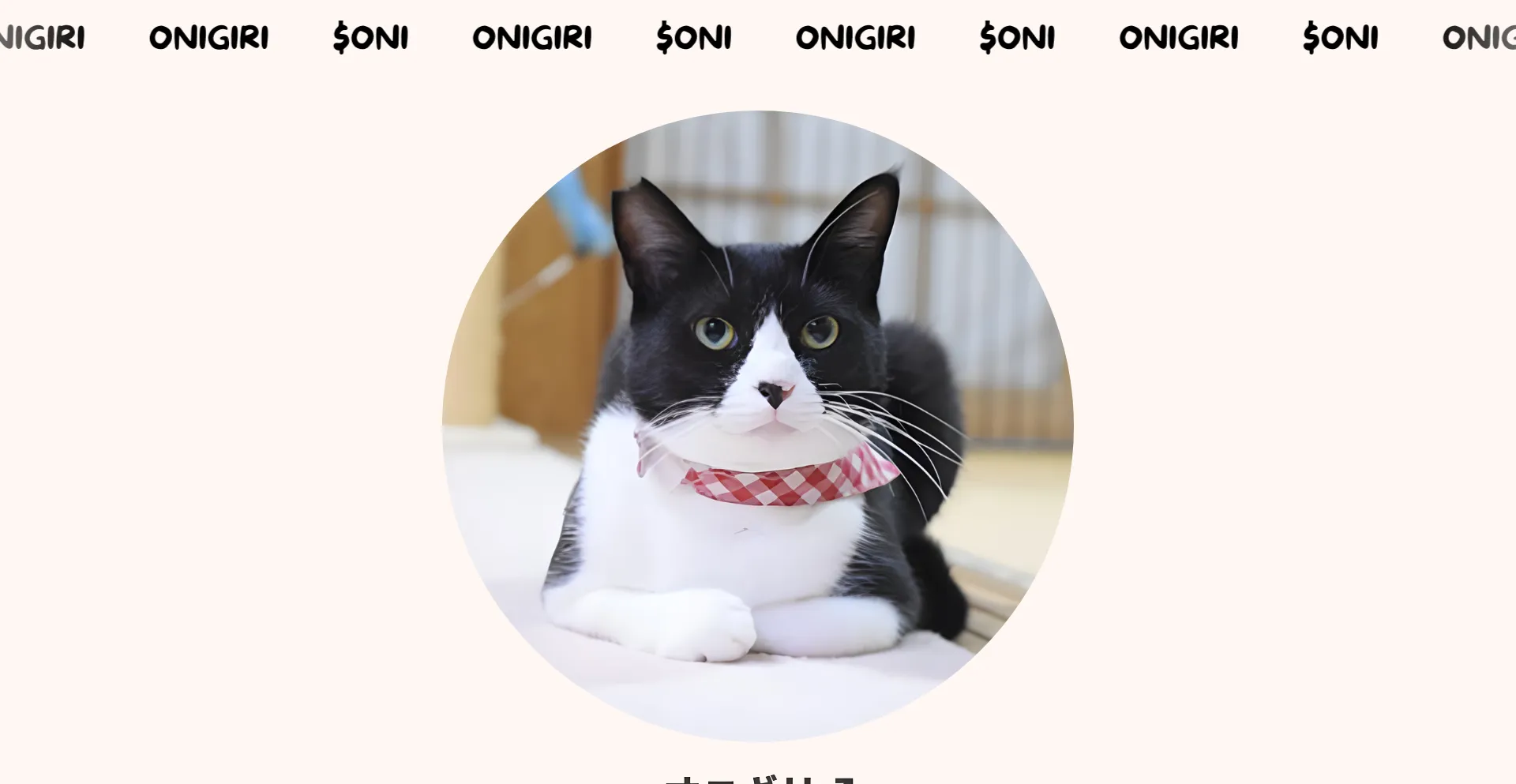 Website screenshot of Onigiricoin.xyz