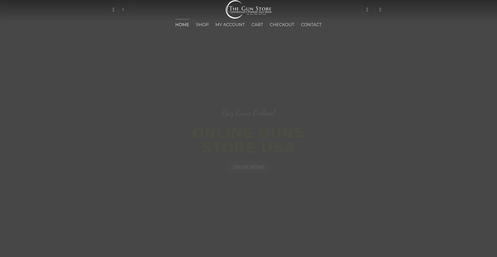 Website screenshot of Onlinegundepotusa.com
