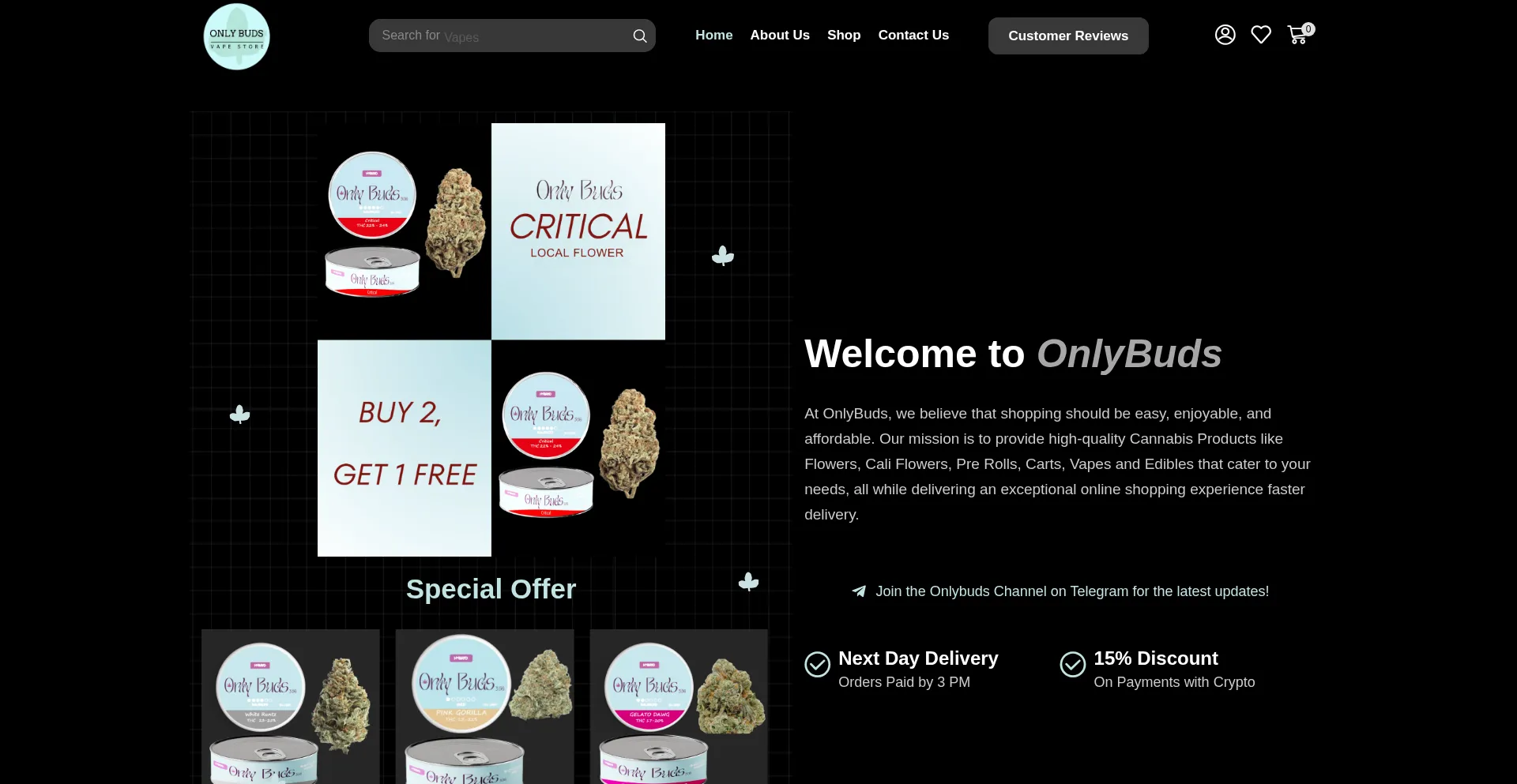 Website screenshot of Onlybuds.biz