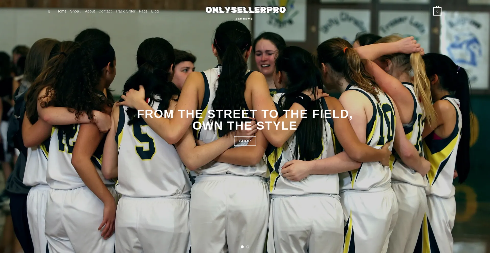 Website screenshot of Onlysellerpro.com