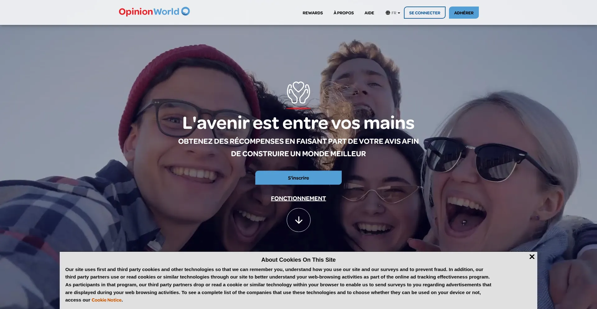 Website screenshot of Opinionworld.ch