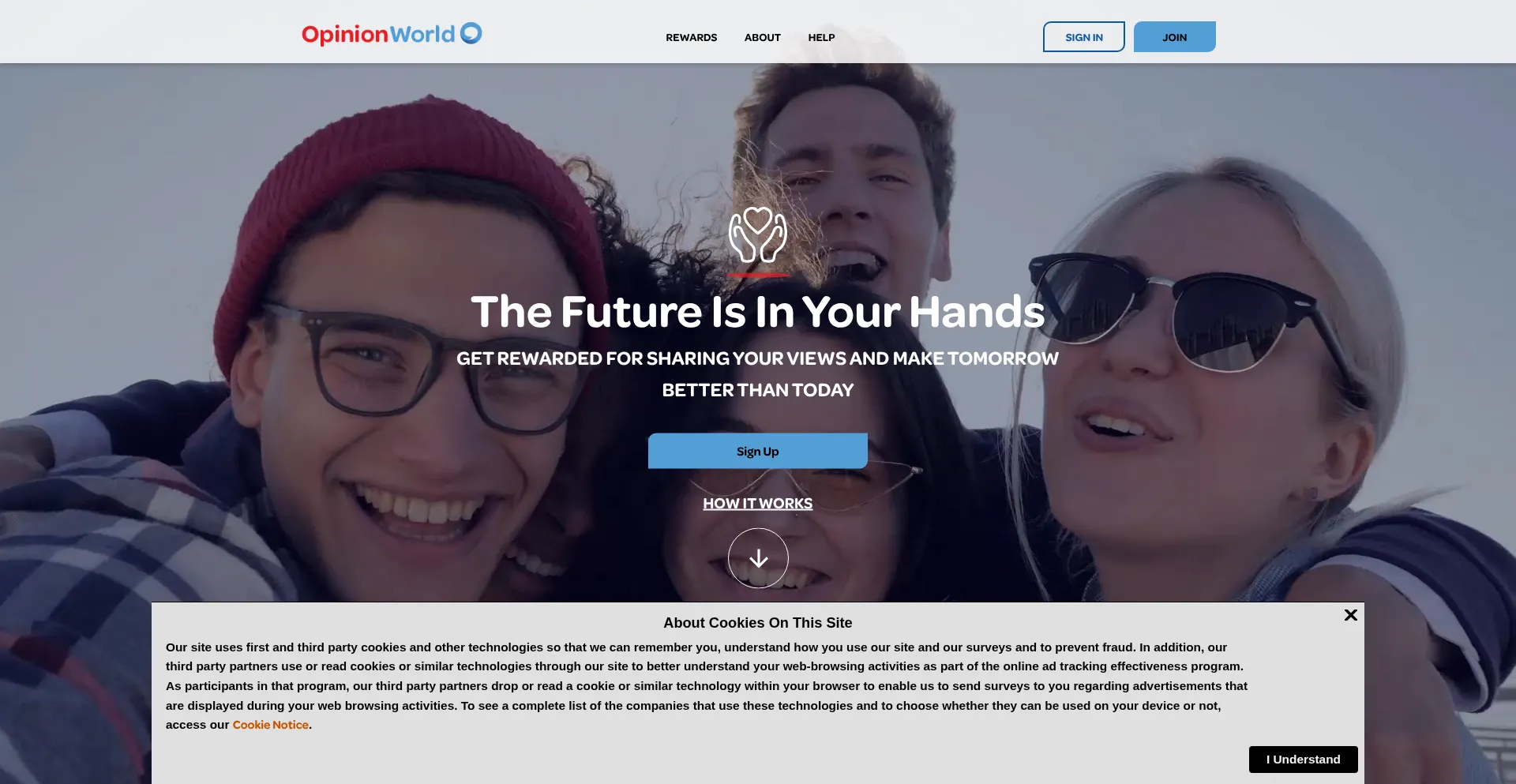 Opinionworld.co.nz