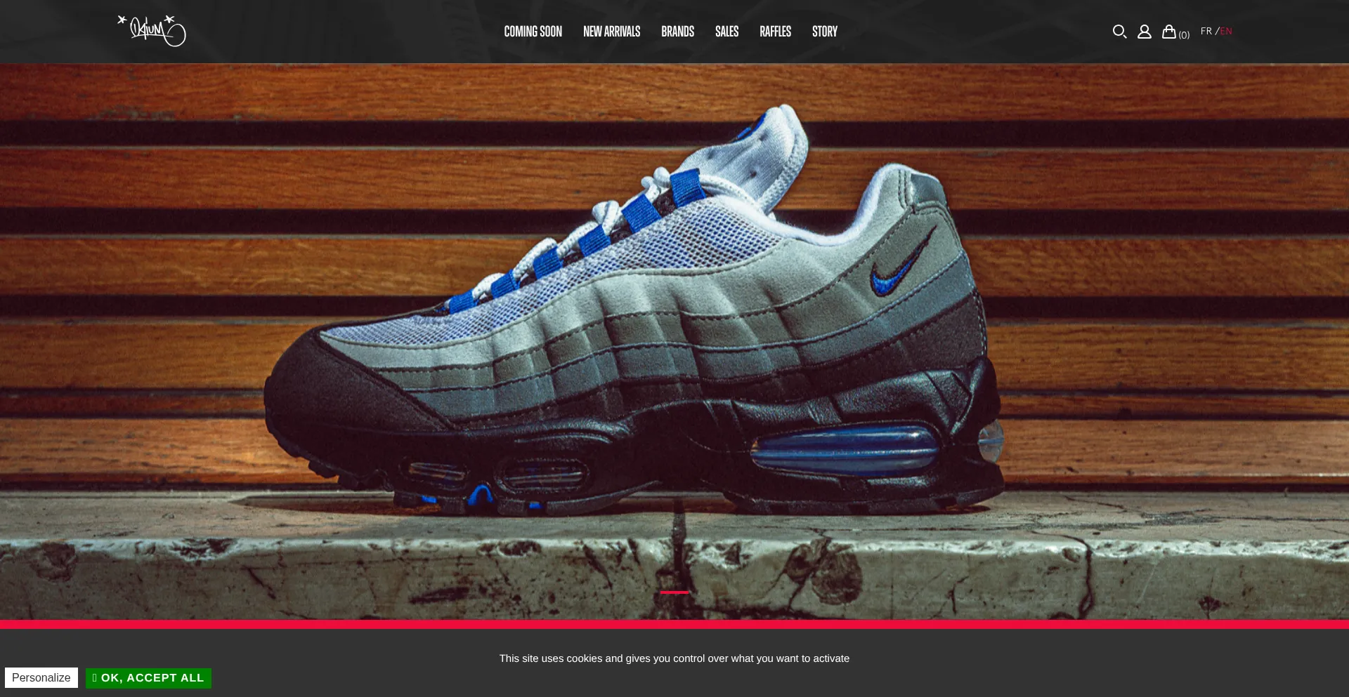 Website screenshot of Opiumparis.com