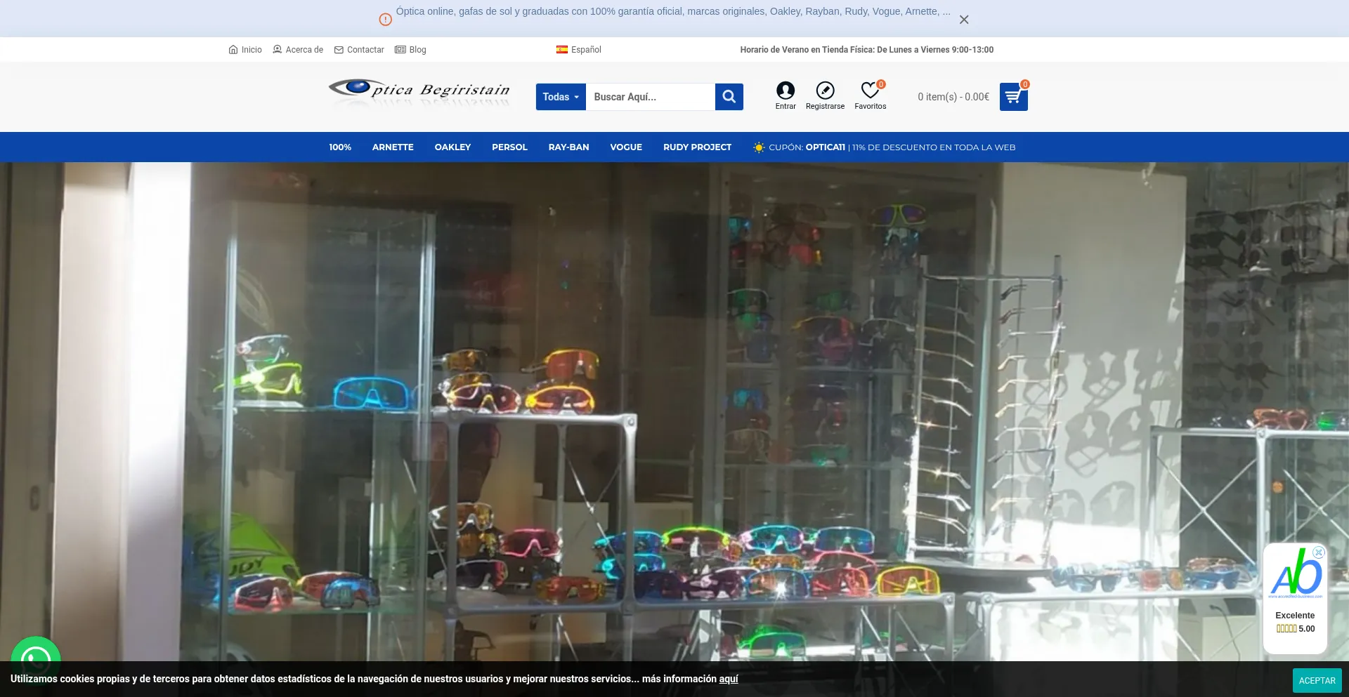 Website screenshot of Opticabegiristain.com