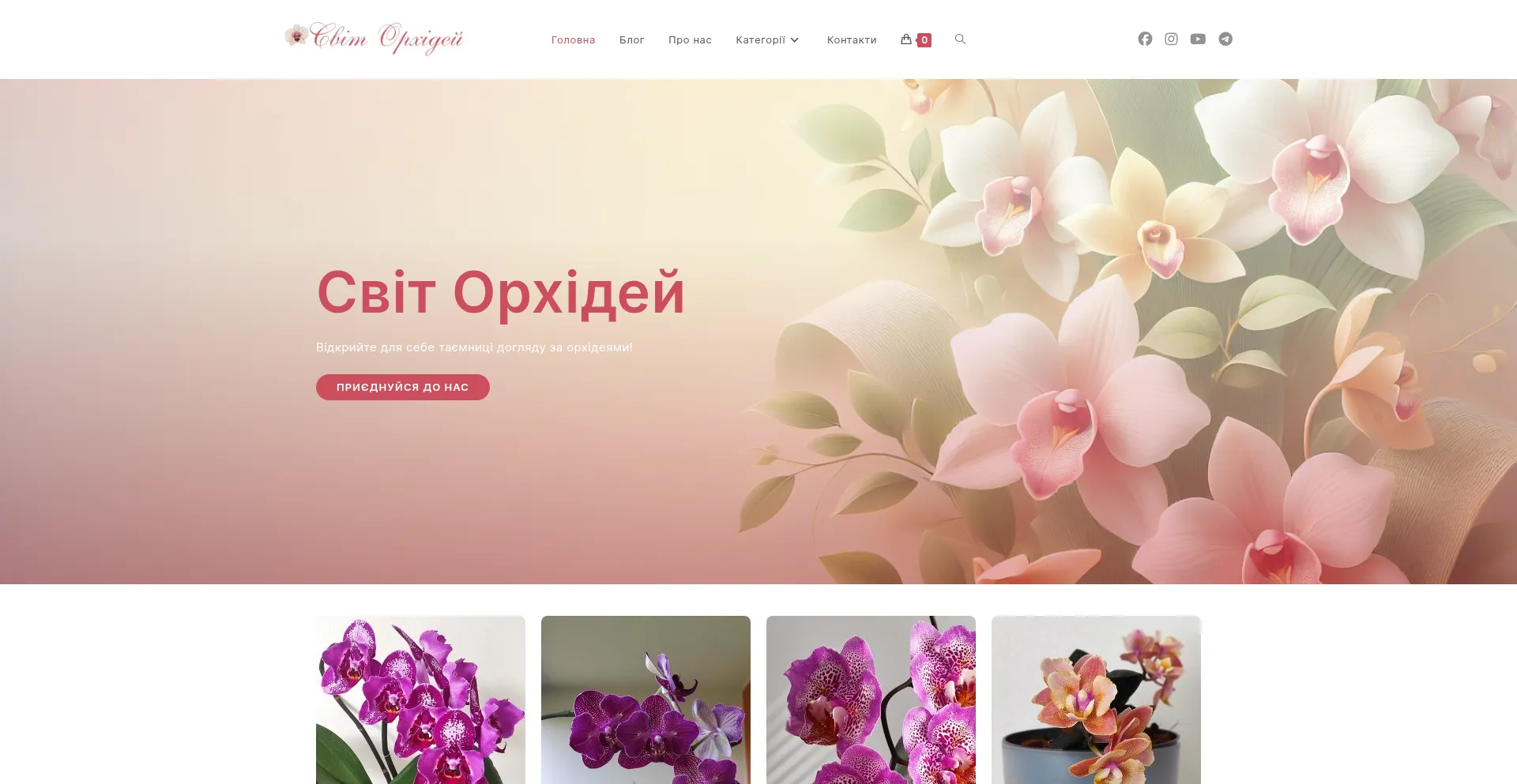 Orchids.top Screenshot
