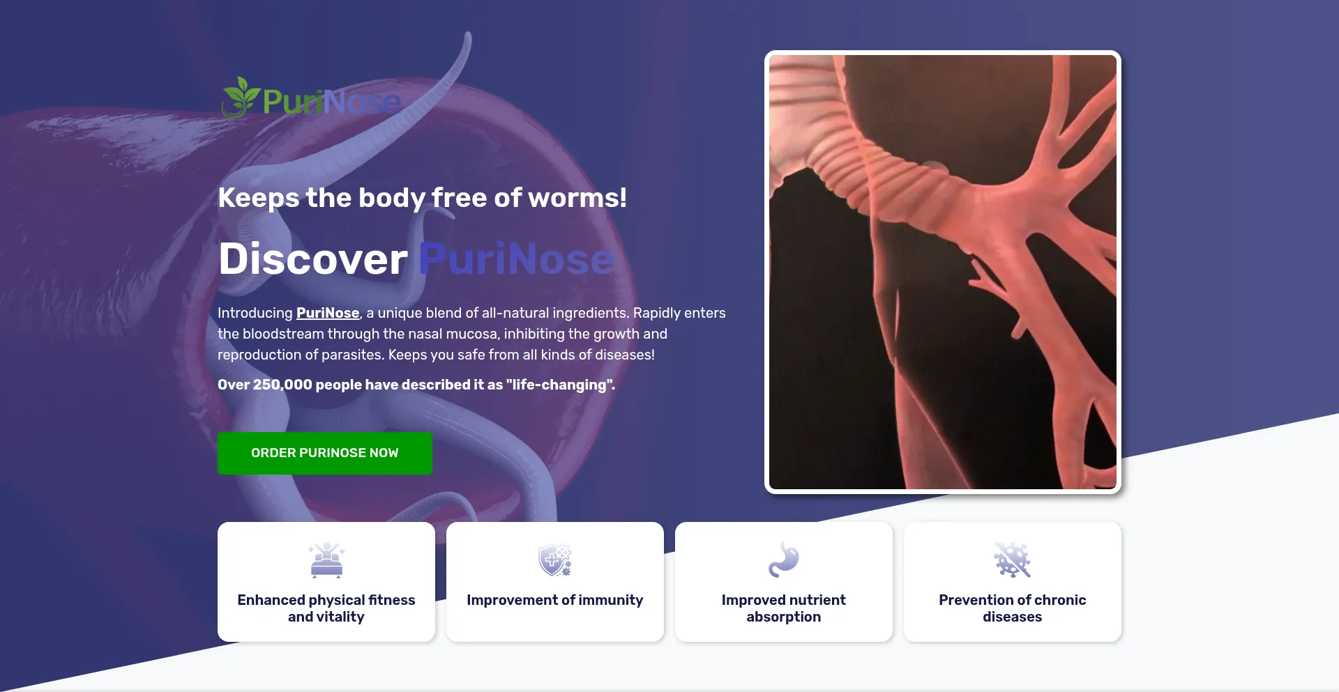 Website screenshot of Orderniibco.com