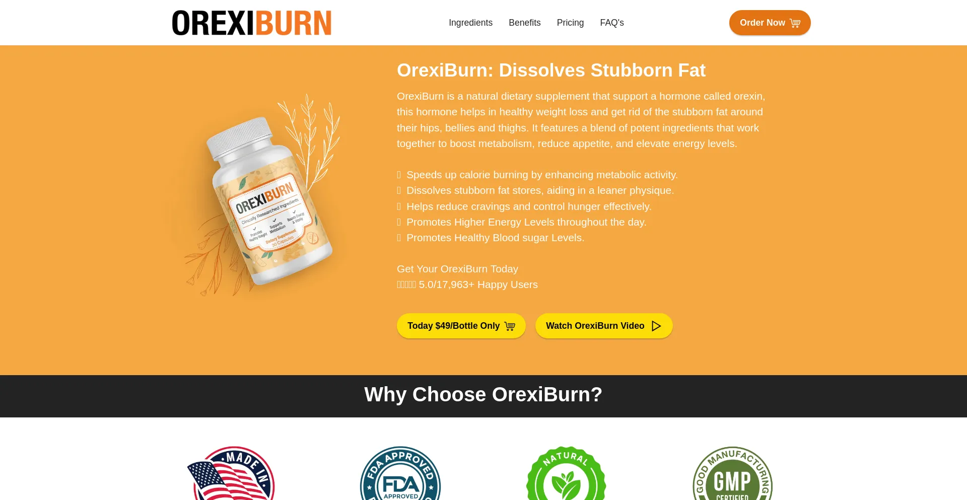Website screenshot of Oreixiburn.com