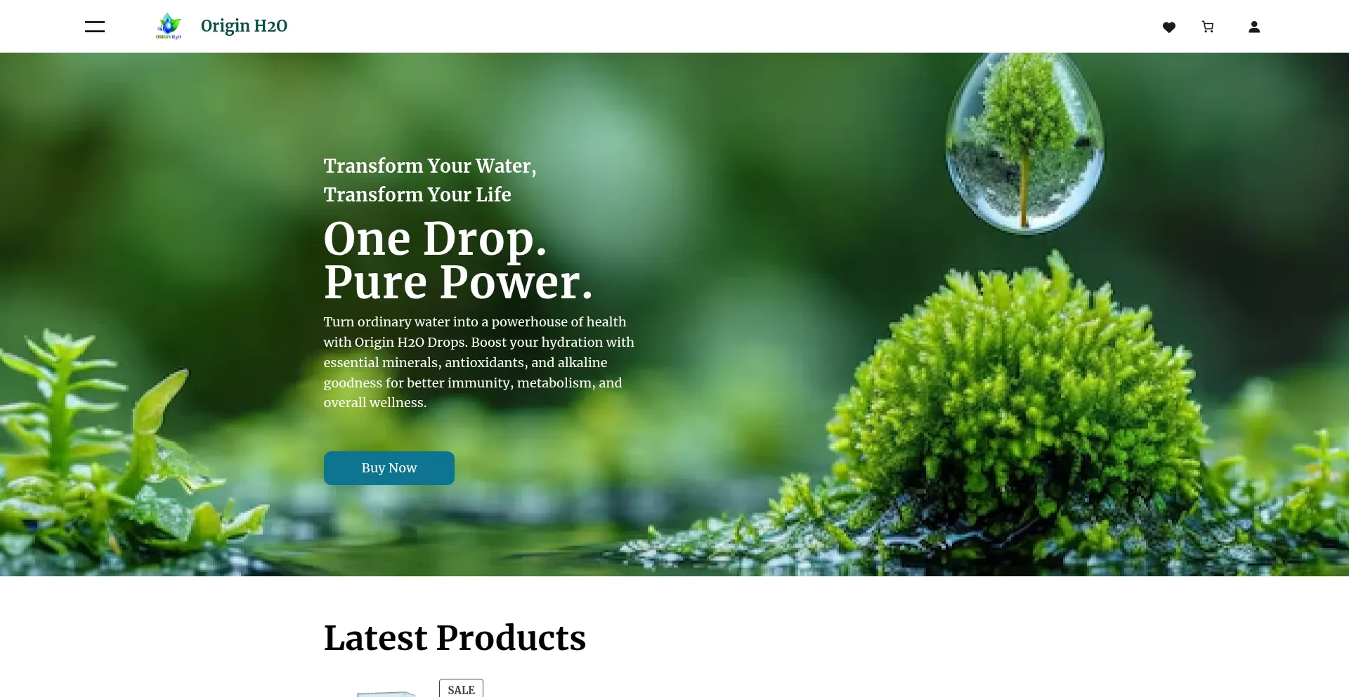 Website screenshot of Originh2o.biz