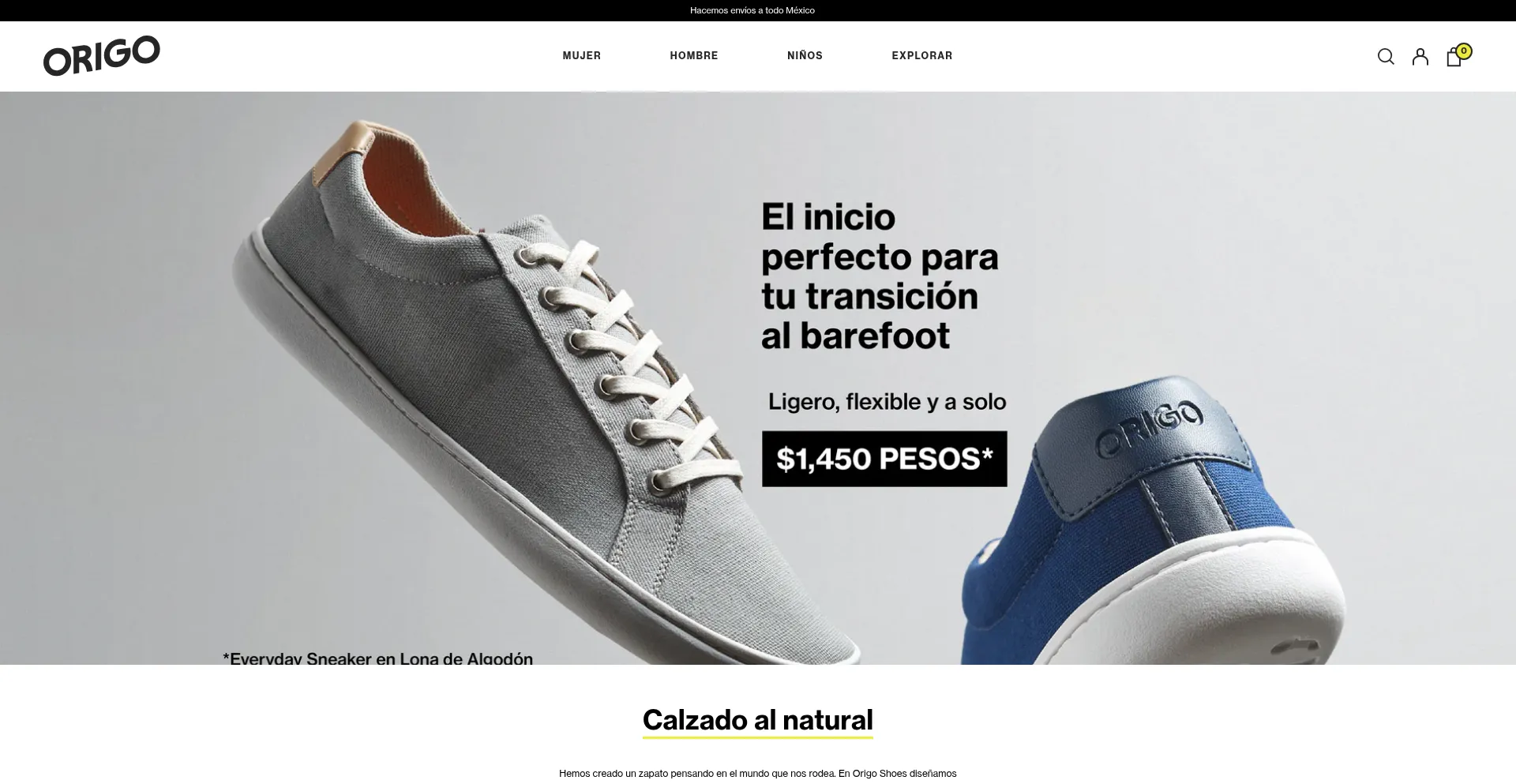 Website screenshot of Origoshoes.mx