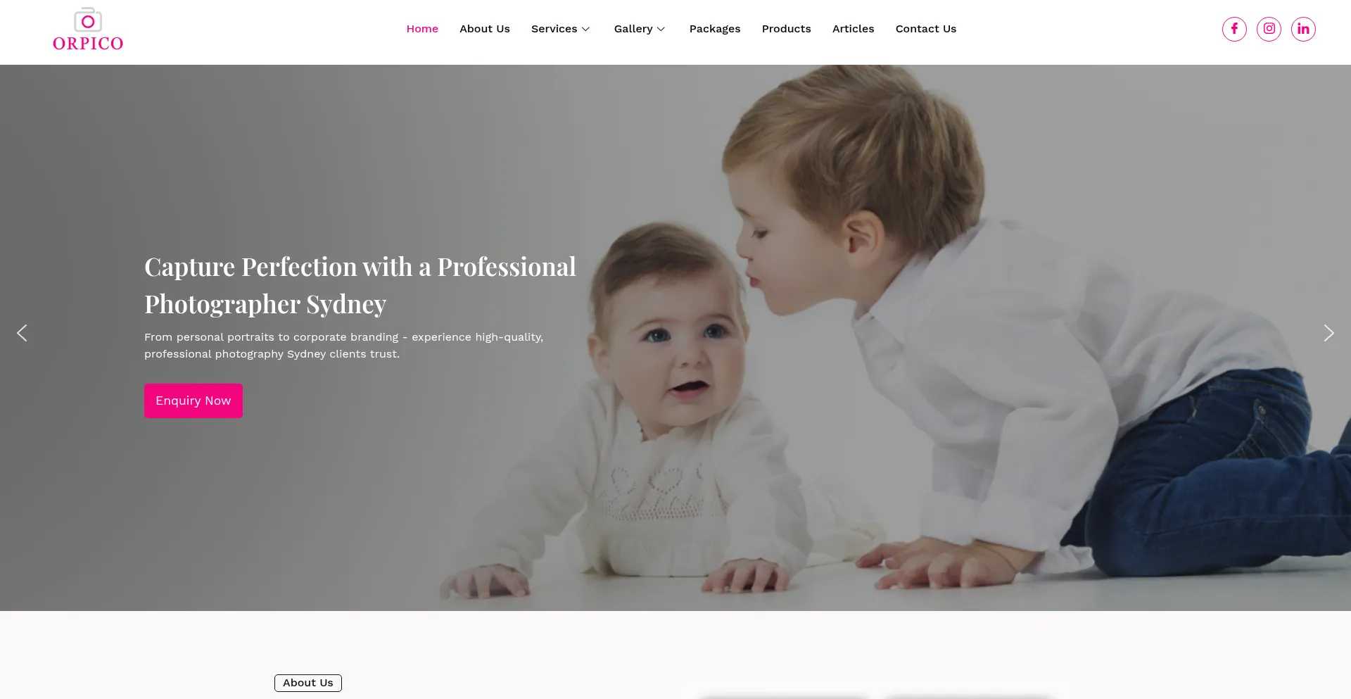 Website screenshot of Orpico.com