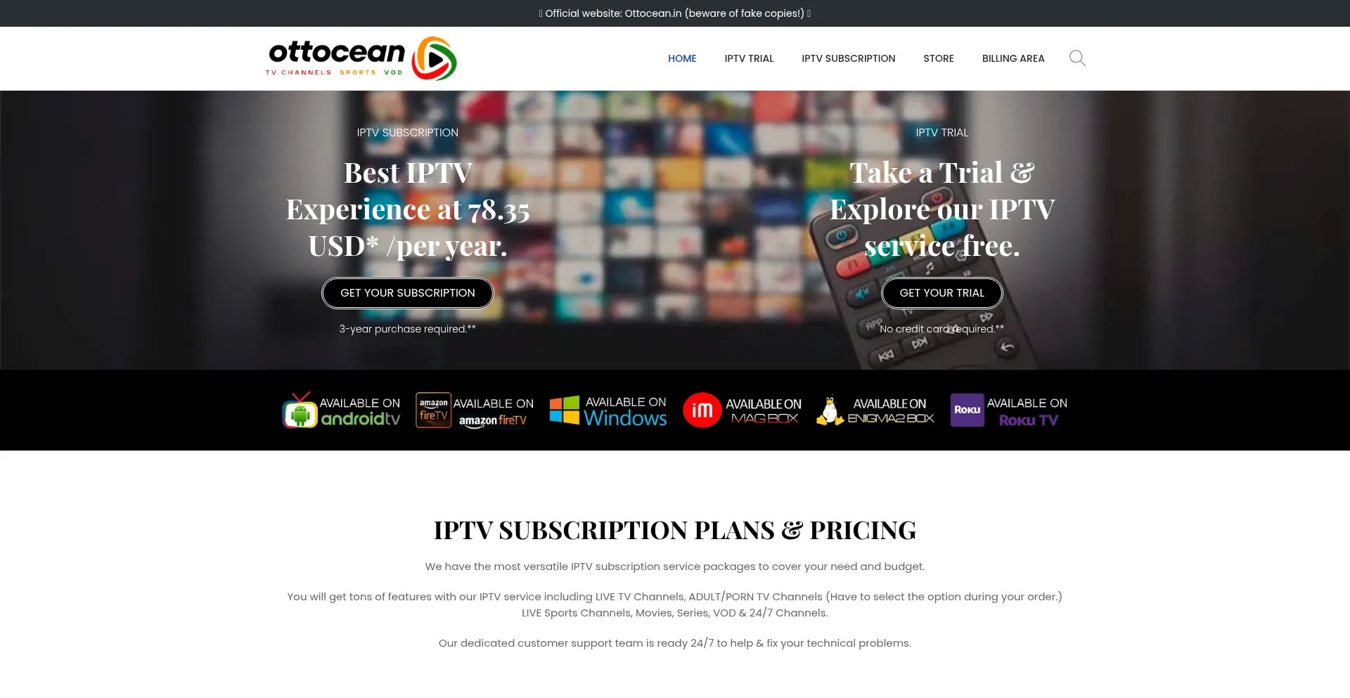 Website screenshot of Ottocean.in