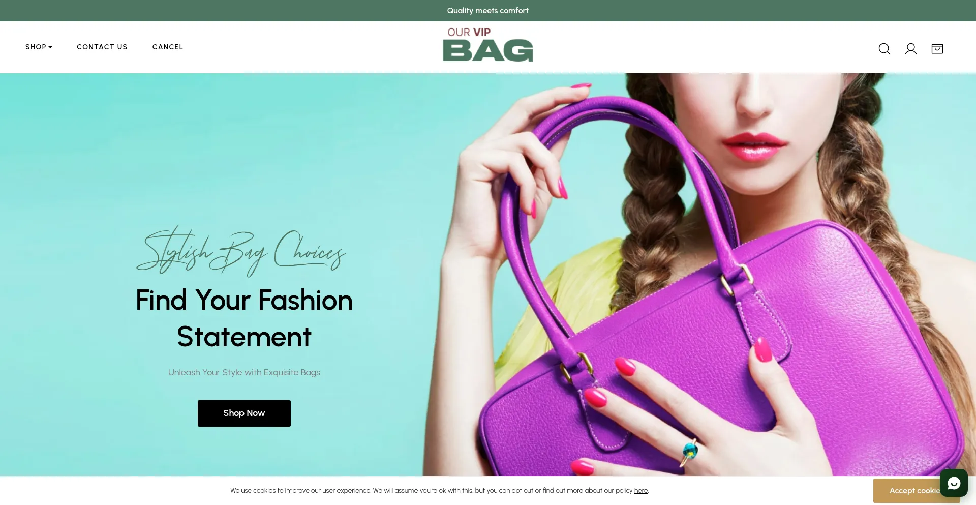Ourvipbag.com Screenshot