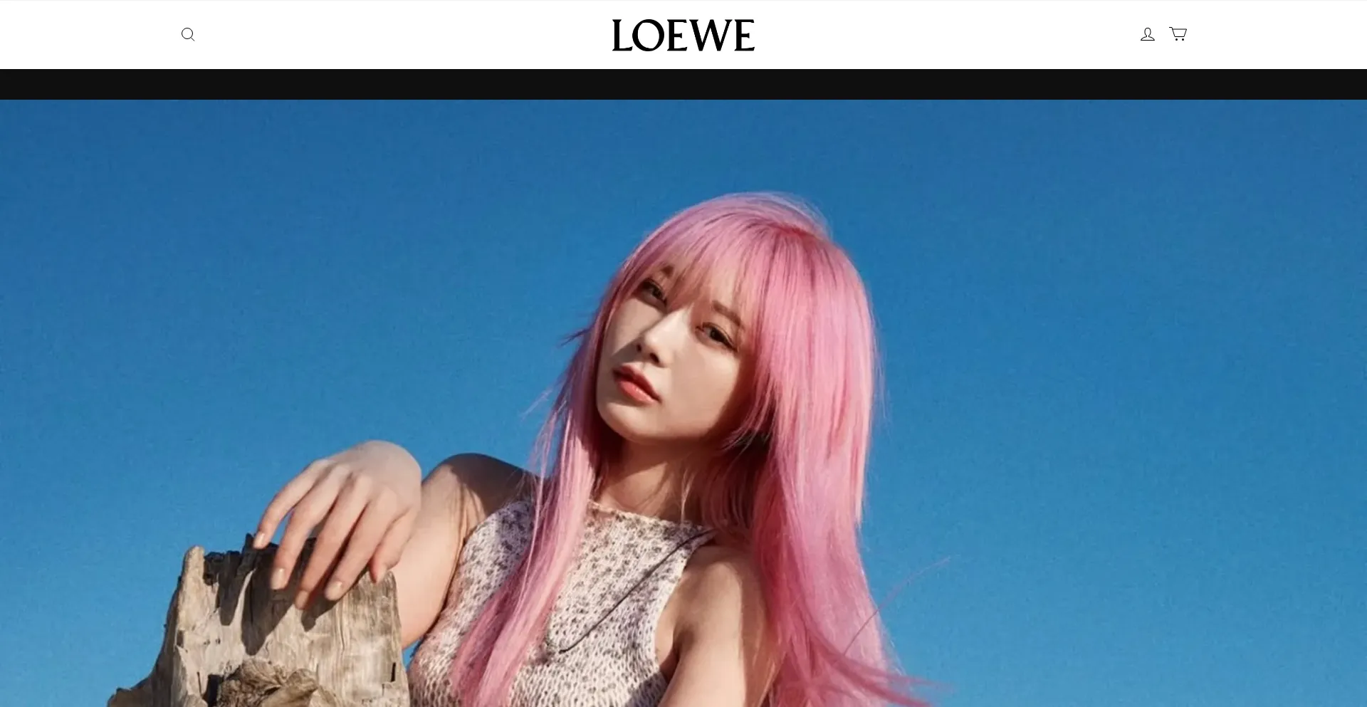 Website screenshot of Outletsnagly.shop
