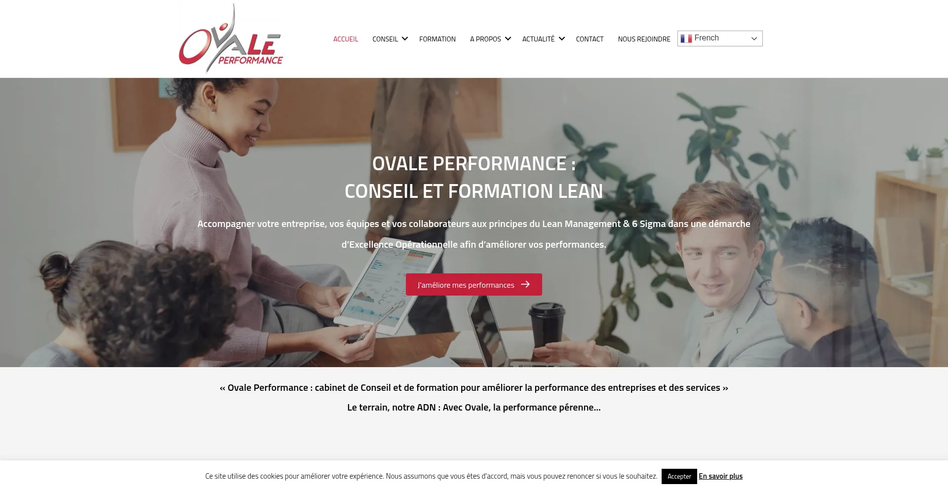 Website screenshot of Ovaleperformance.com