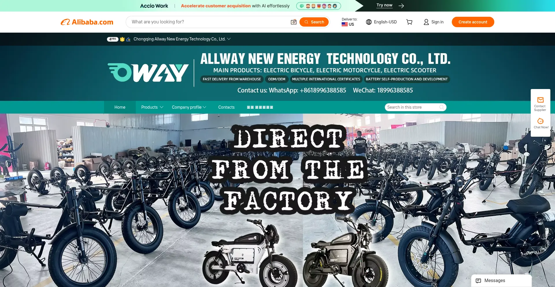 Owayebike.en.alibaba.com