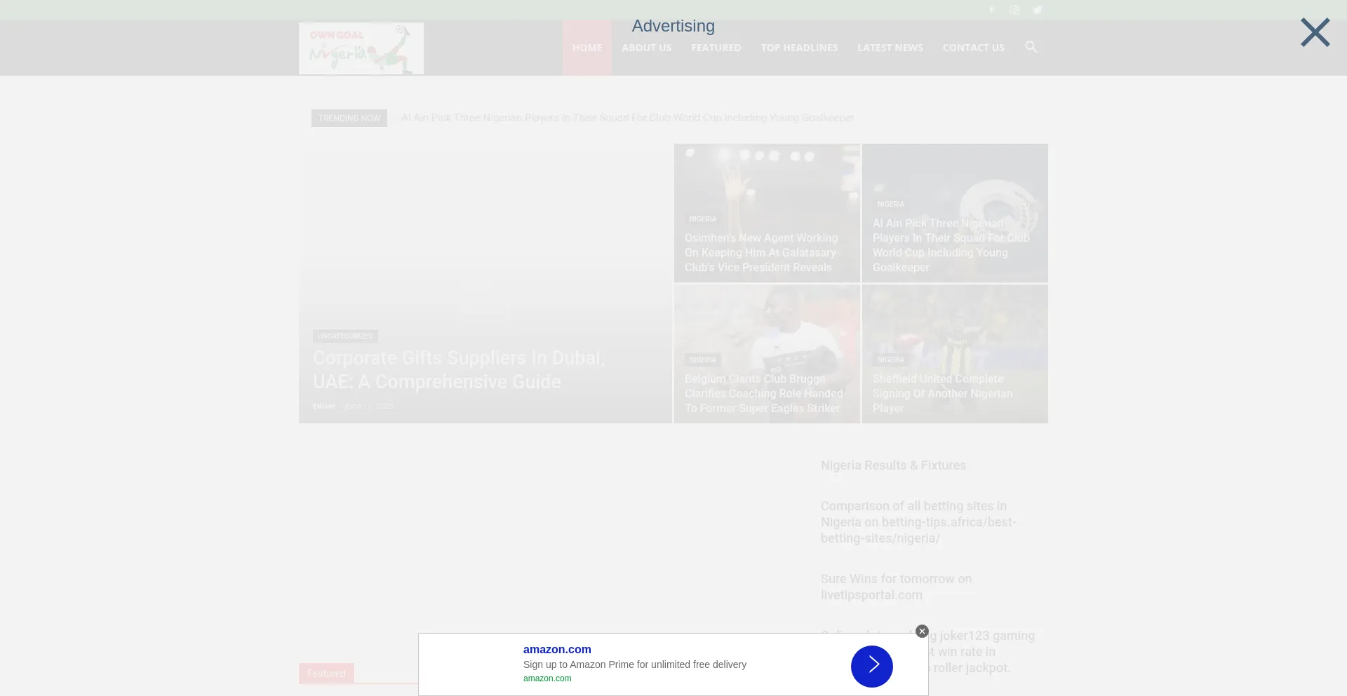 Website screenshot of Owngoalnigeria.com