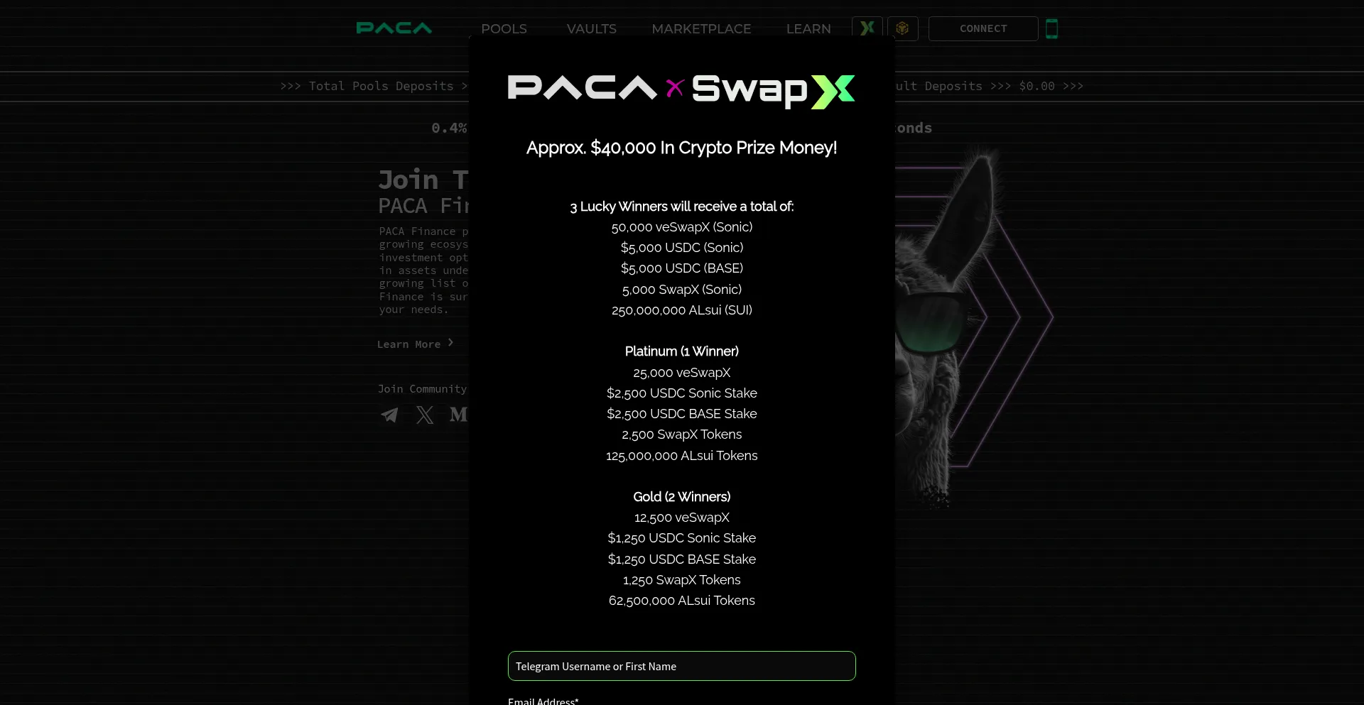 Website screenshot of Paca.finance