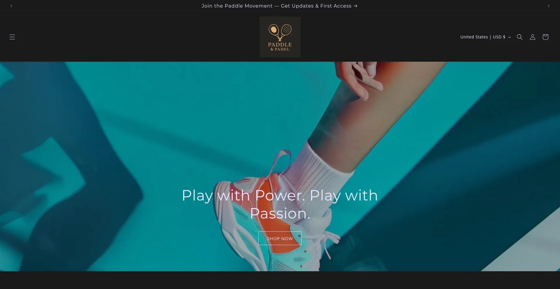 Website screenshot of Paddleandpadel.com