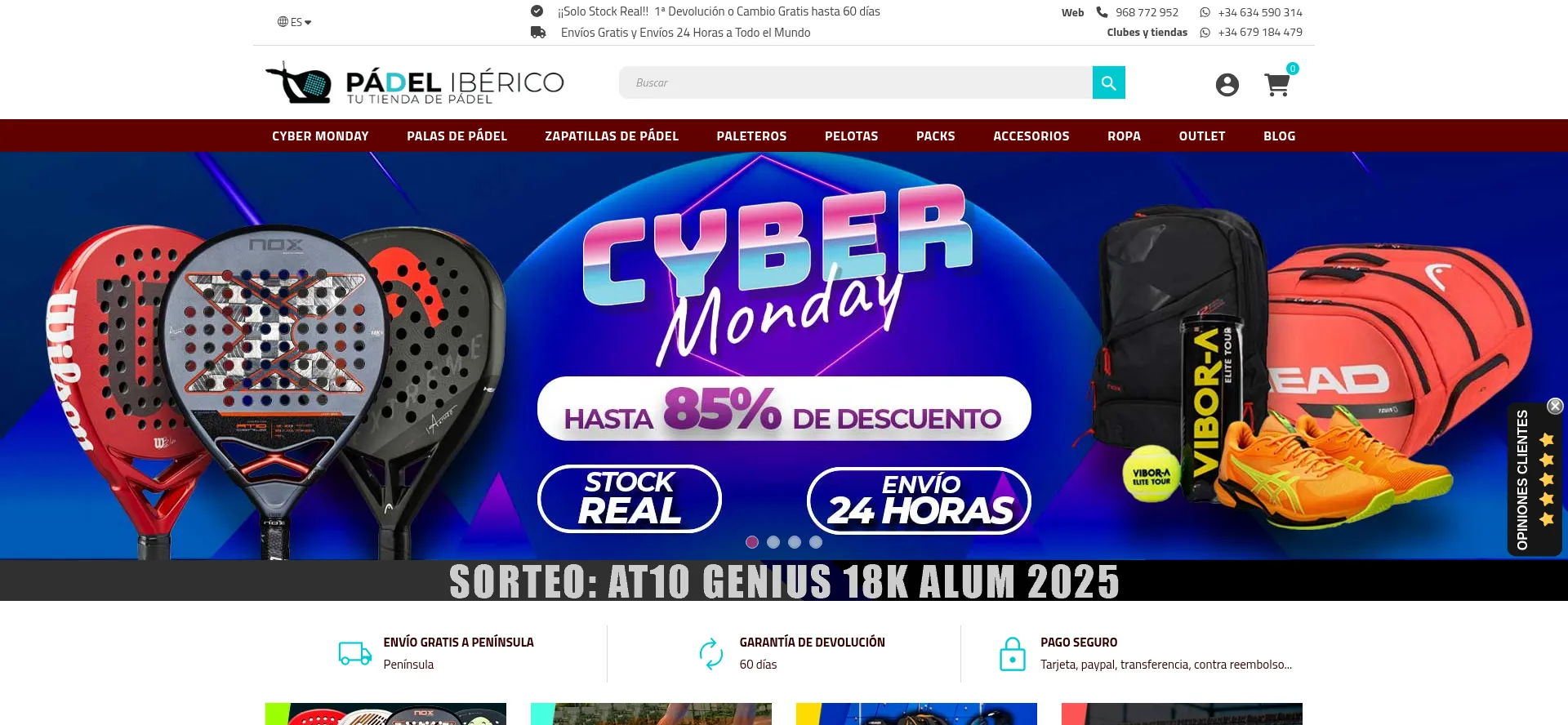 Website screenshot of Padeliberico.es