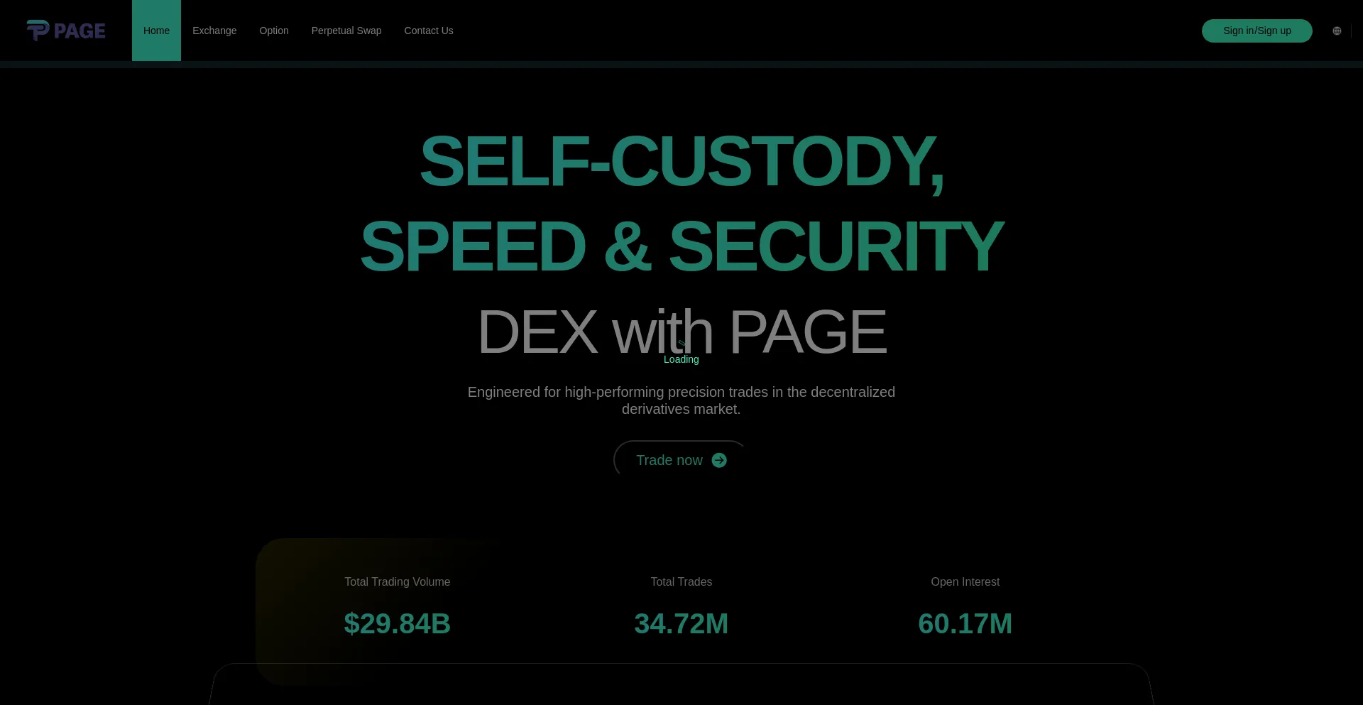 Website screenshot of Pagedia.com