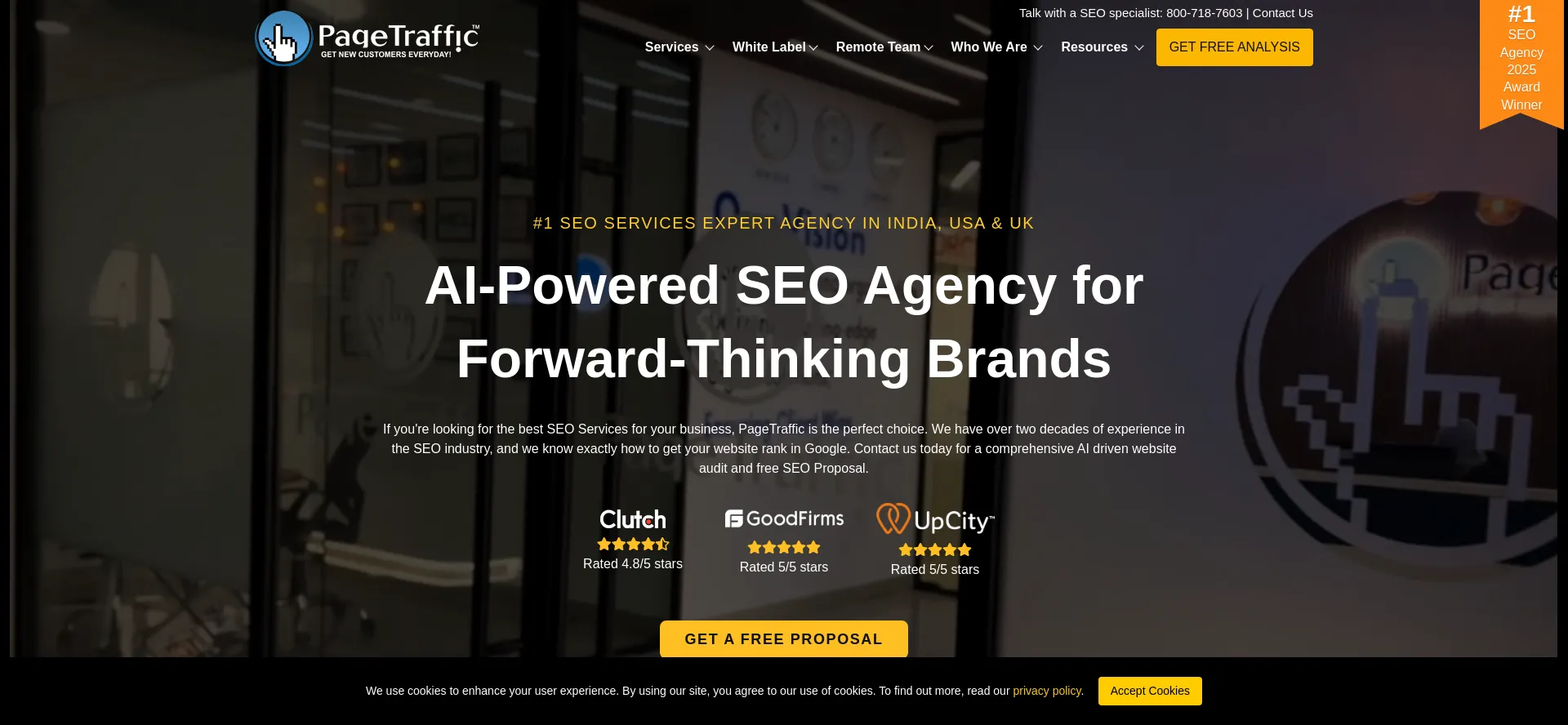 Website screenshot of Pagetraffic.com
