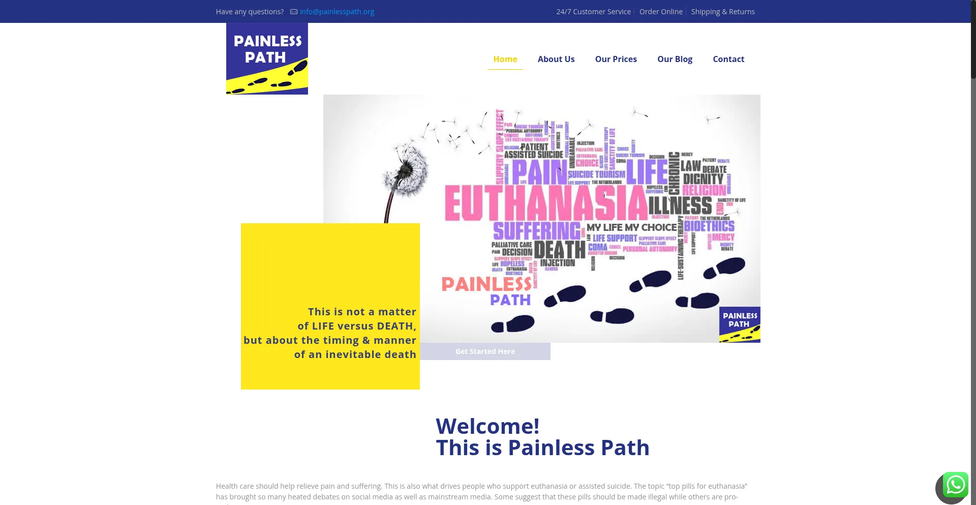 Website screenshot of Painlesspath.org
