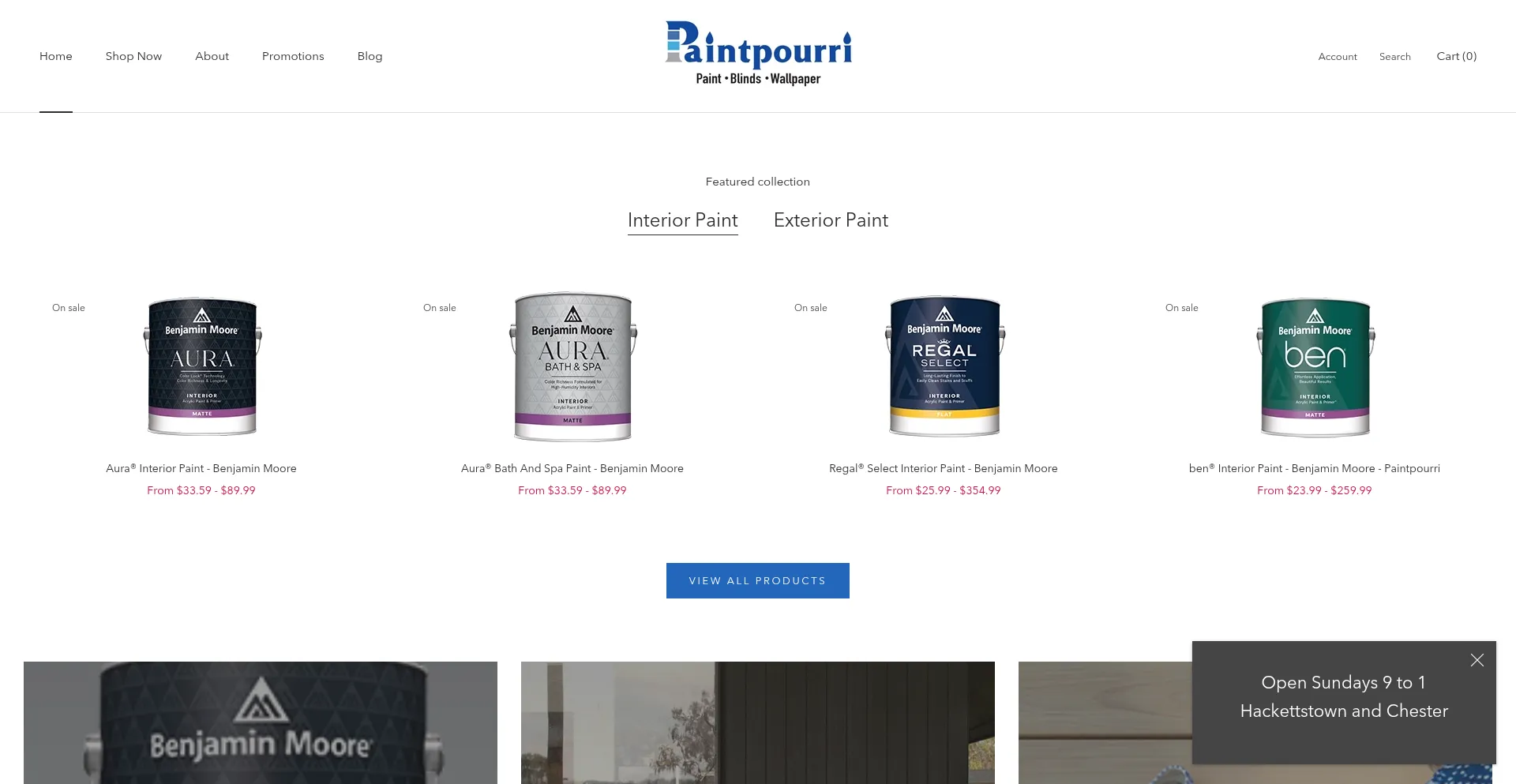Website screenshot of Paintpourri.com