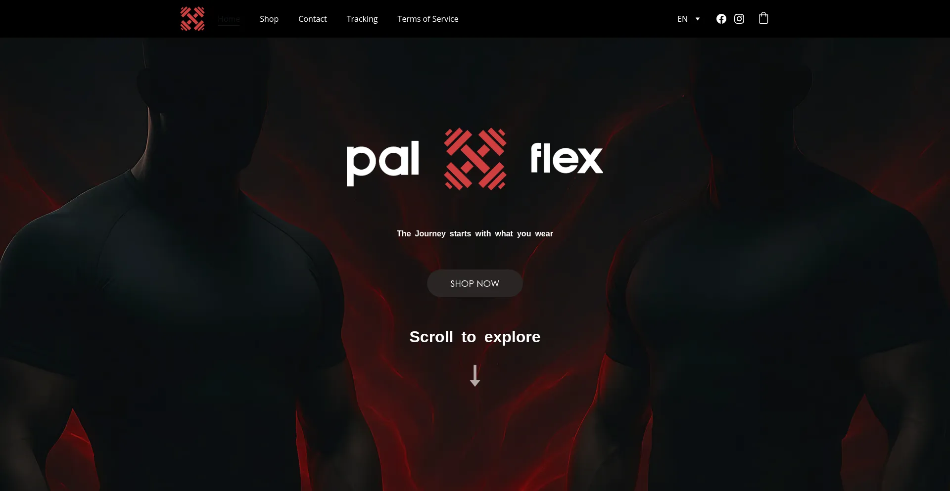 Palflex.site