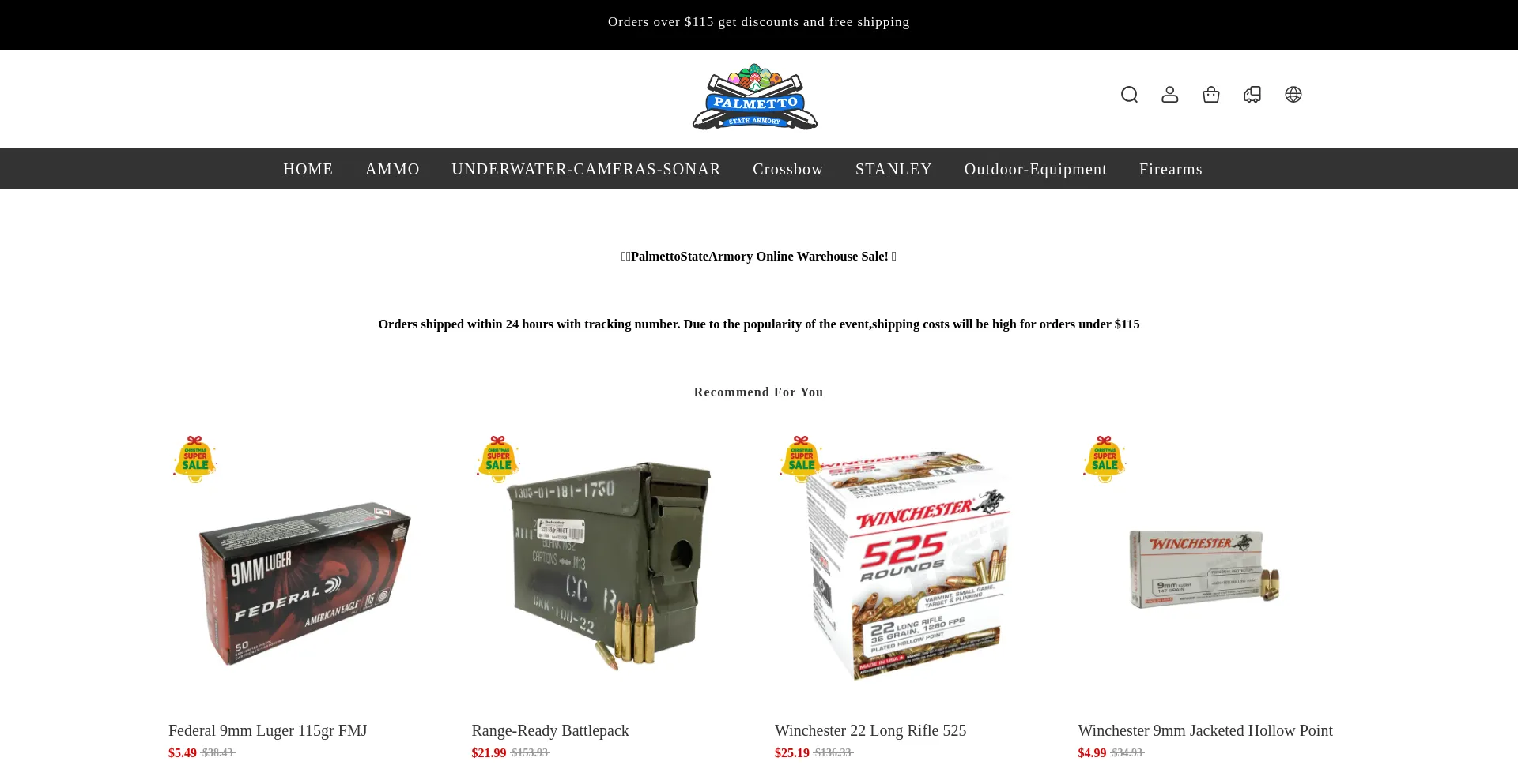 Website screenshot of Palmettodiscountshop.store