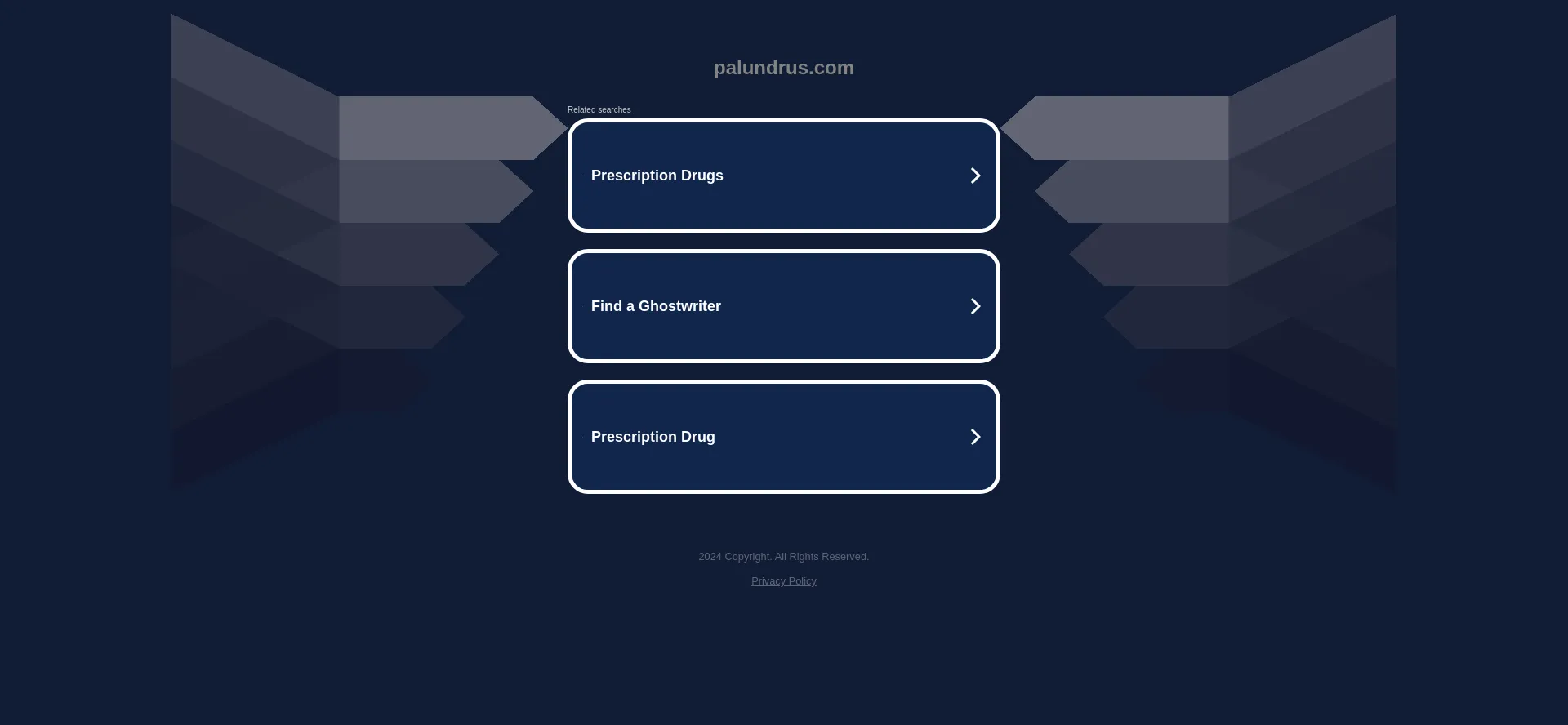 Website screenshot of Palundrus.com