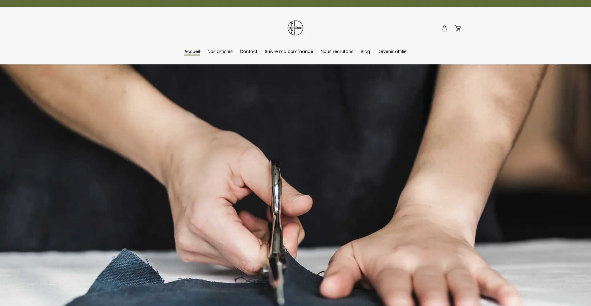 Website screenshot of Pamboo.fr