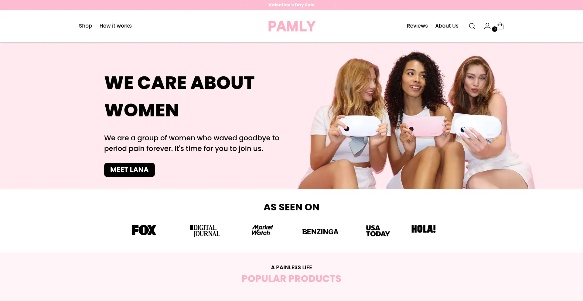 Website screenshot of Pamly.co