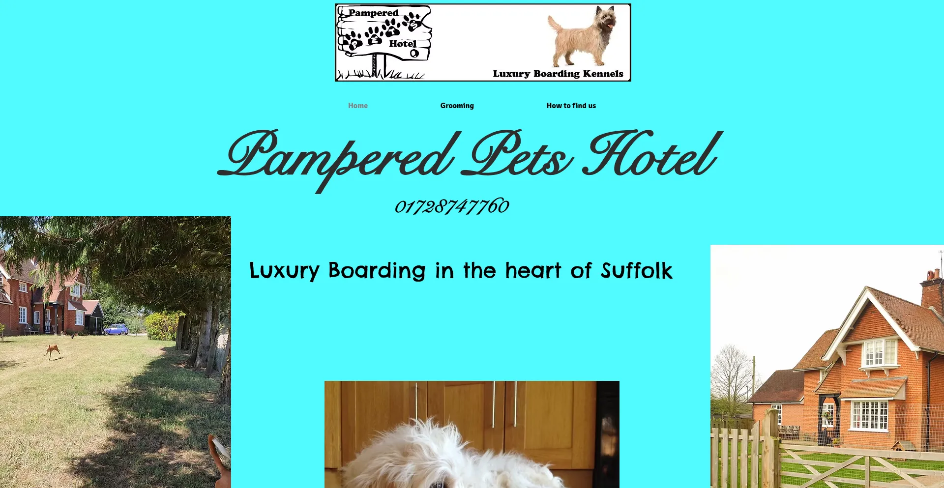 Pamperedpets.co.uk
