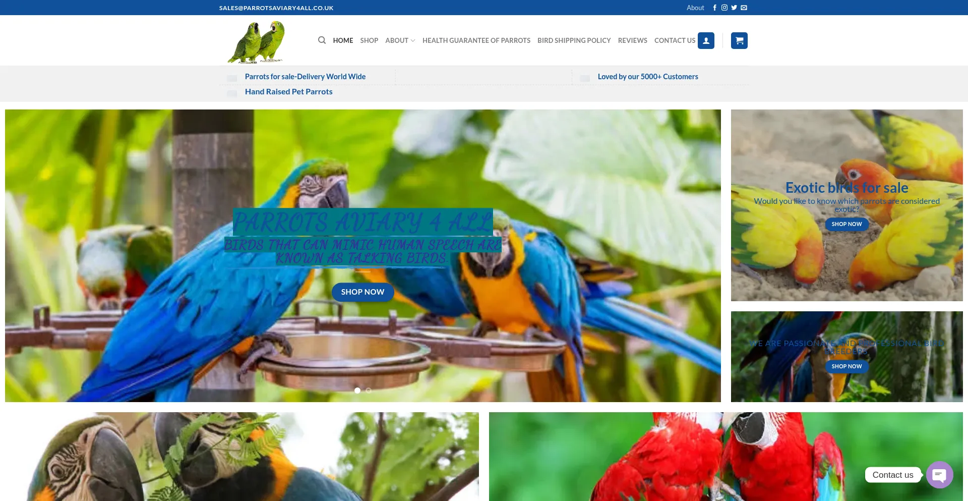Website screenshot of Parrotsaviary4all.co.uk