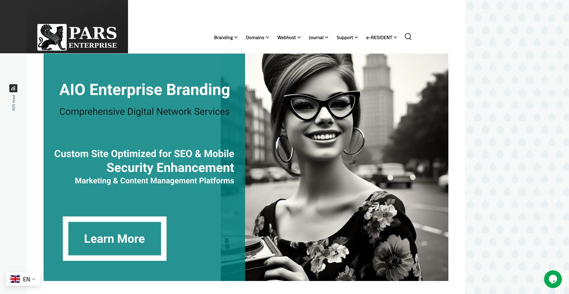 Website screenshot of Parsenterprise.com